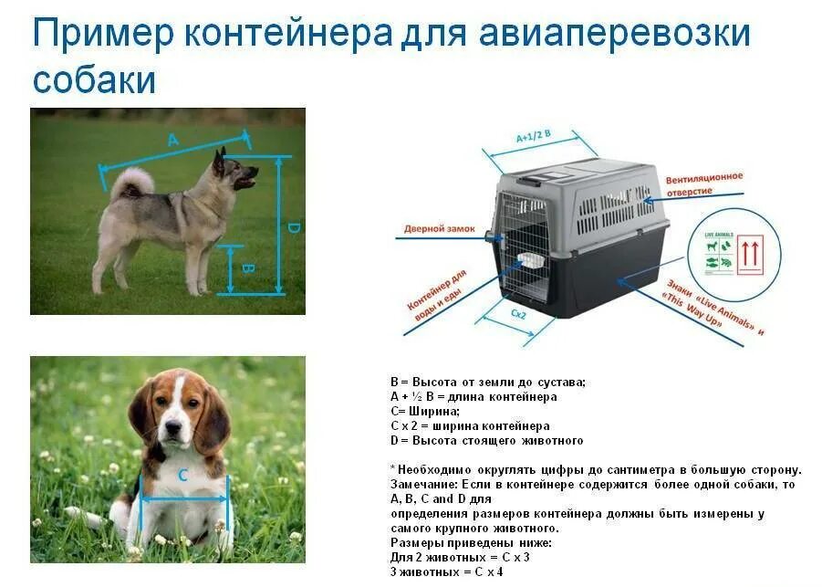 Собаку в самолет какие документы нужны. Переноска для собак в самолет s7 размер переноски. допустимые размеры переноски для собак в салоне самолета. переноска для животного в самолет. измерение переноски для собак.