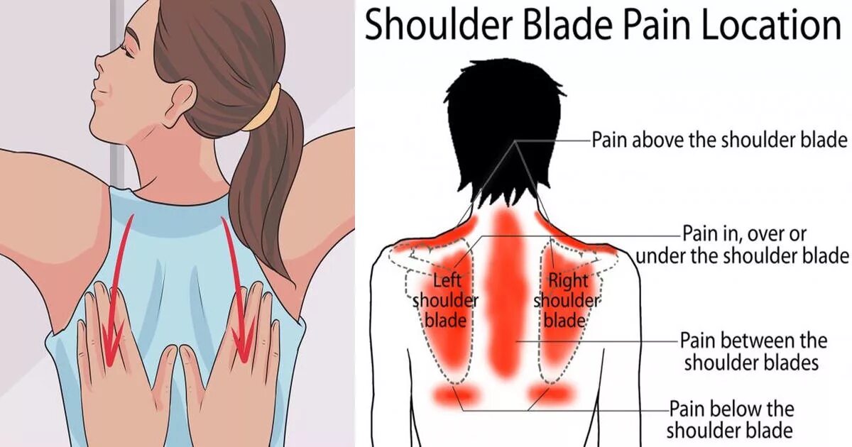 Shoulder Blade. Head, Neck Shoulder, and back Pain. Pain in Shoulder.