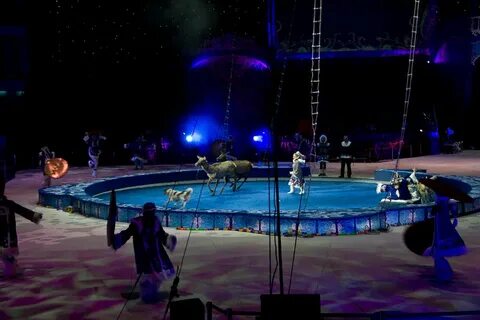 Цирк в парке есенина 2024