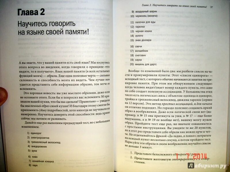 Развитие мозга как читать быстрее. Развитие мозга книга. развивай мозг книга. сайп р. развитие мозга. роджер сайп.