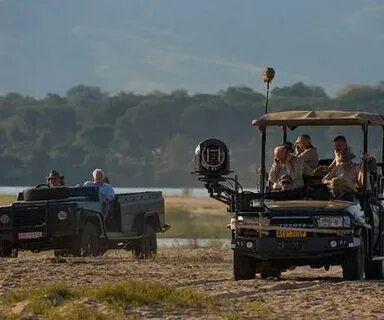Wildlife documentary