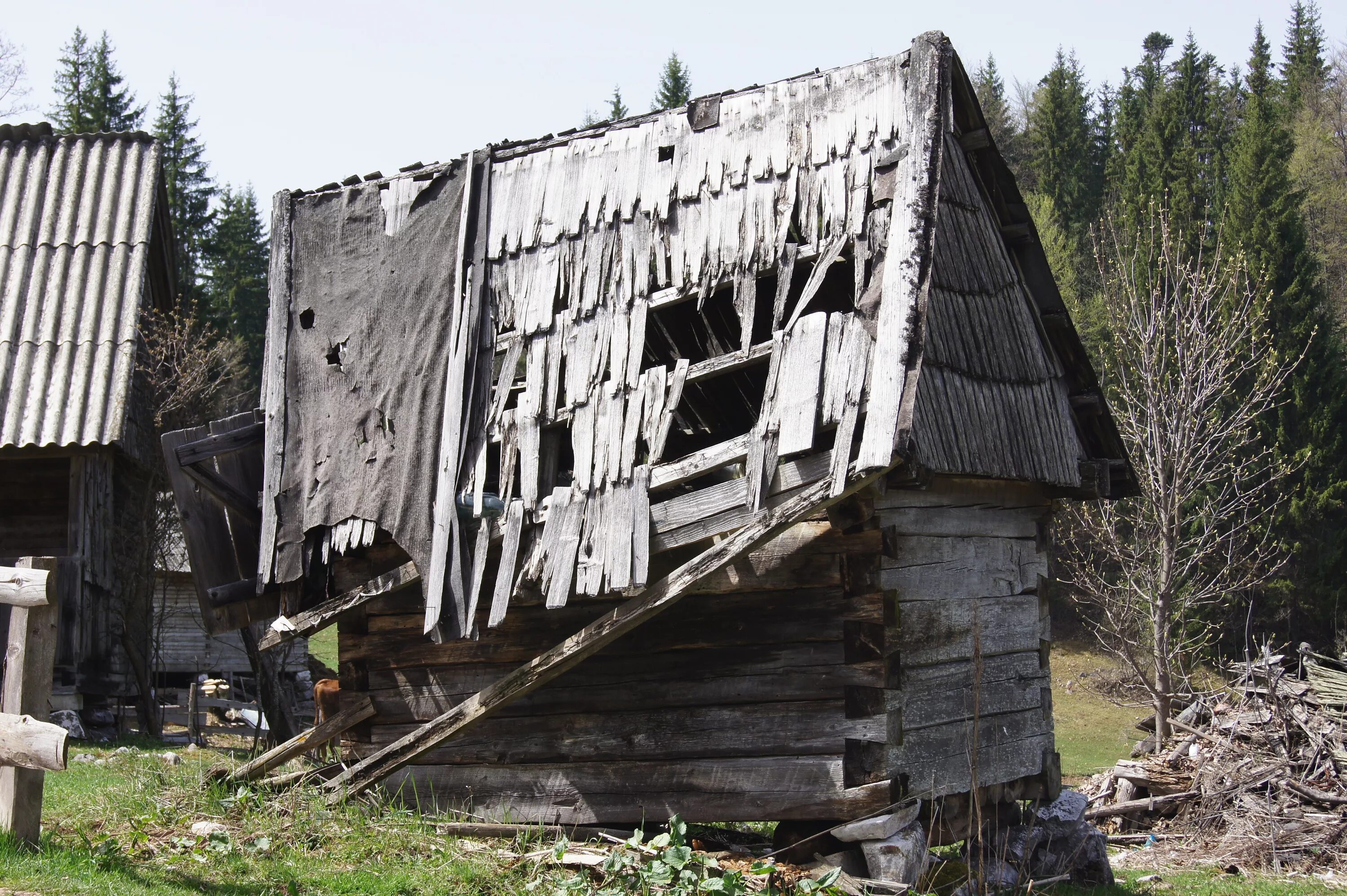 Старый деревянный сарай. Разрушенный деревянный дом. Разрушенный домик деревянный. Разрушенное деревянное здание. Старый разрушенный дом