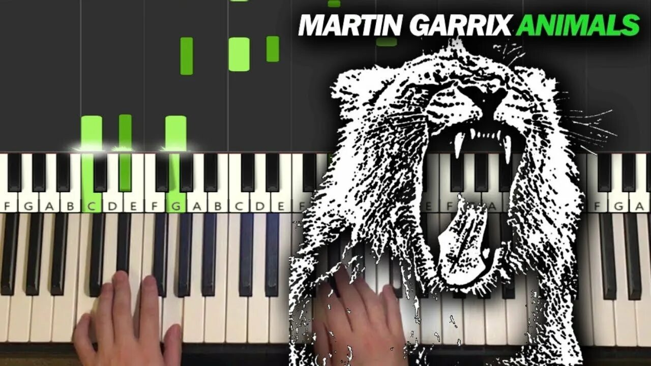 Martin Garrix animals 2013. Martin Garrix - animals Official.