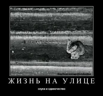 Скучно на улице