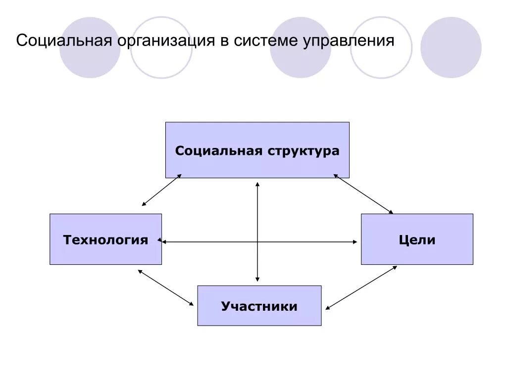 Структура социальной организации. Организация системы социального управления. Понятие социальной организации. Социальная организация схема. Социальная организация и ее функции