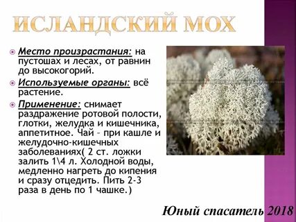 Применение мха ягеля
