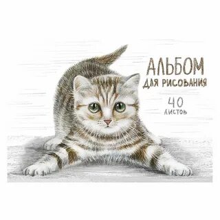 Обложка для альбома для рисования