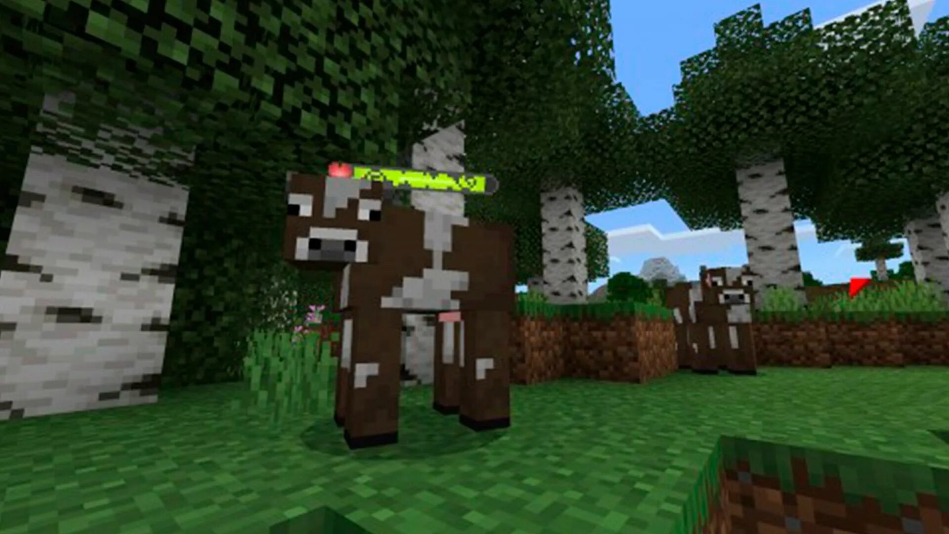 Мод на отображение здоровья. Minecraft индикатор здоровья 1.16.5. отображение здоровья у моба. torohealth.