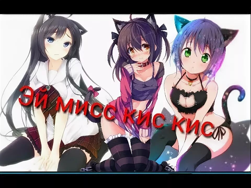 Эй мисс кис кис. Эй мисс кис кис давай вверх давай вниз. Эй кис кис давай. Песня давай эй д мис кис. Кис мис.