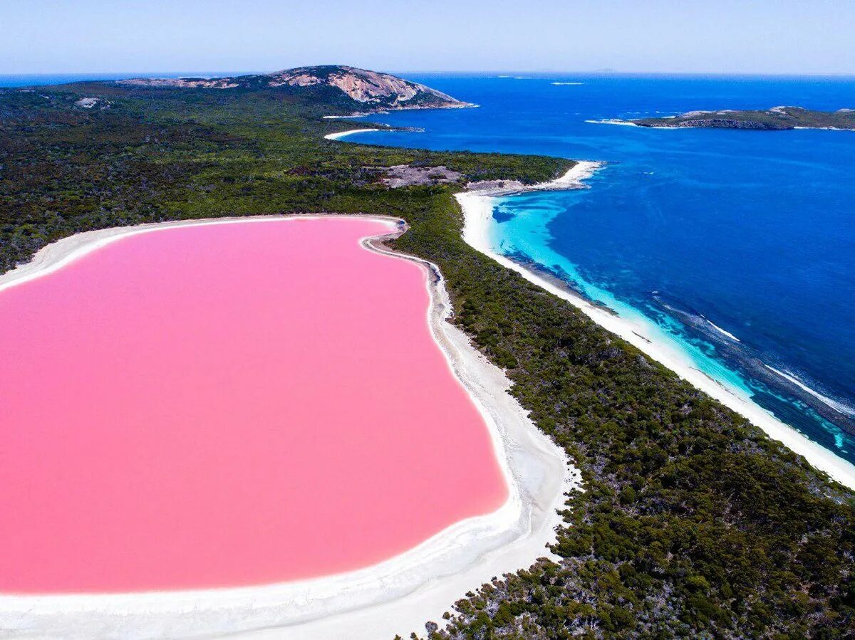 Розовое озеро Хиллер Австралия. Озеро Хиллер (остров Миддл). Озеро Хиллиер (Lake hillier), Австралия. Озеро Ретба Сенегал.