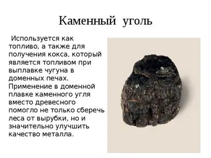 Ископаемые донбасса