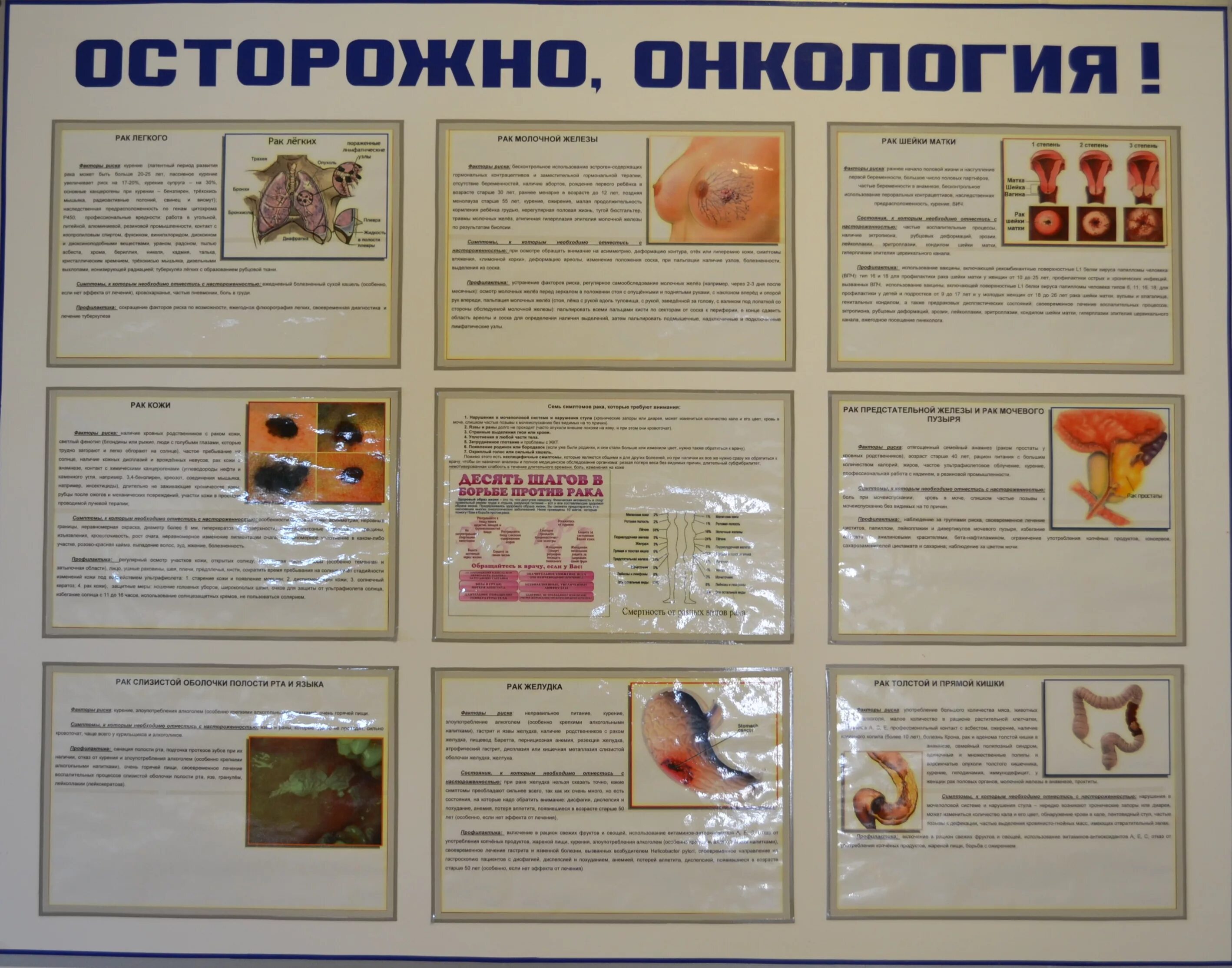 Рак следующая неделя. Онкология плакат. Знаки зодиака таблица. Профилактика онкозаболеваний. Ракушкоед.