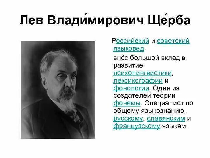 Богородицкий лингвист. Выдающиеся ученые лингвисты. Выдающиеся русские лингвисты. Русские лингвисты и их вклад. Русские ученые лингвисты.