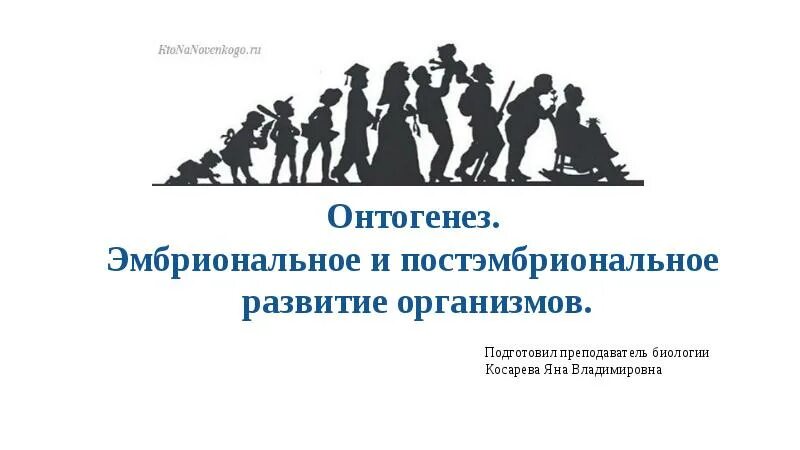 Индивидуальное развитие организмов постэмбриональное развитие. Индивидуальное развитие организмов постэмбриональное развитие
