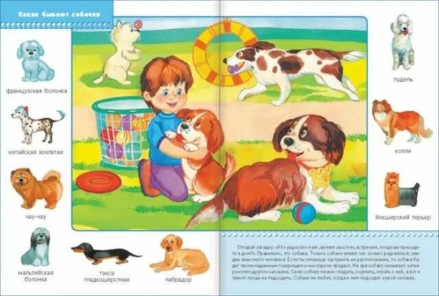 Рисование домик для собачки. Задания на величину для детей 4-5 лет. Большой маленький задания для детей 2-3 лет. Тематическое занятие собака для малышей. Домашние животные для детей дошкольного возраста занятия.