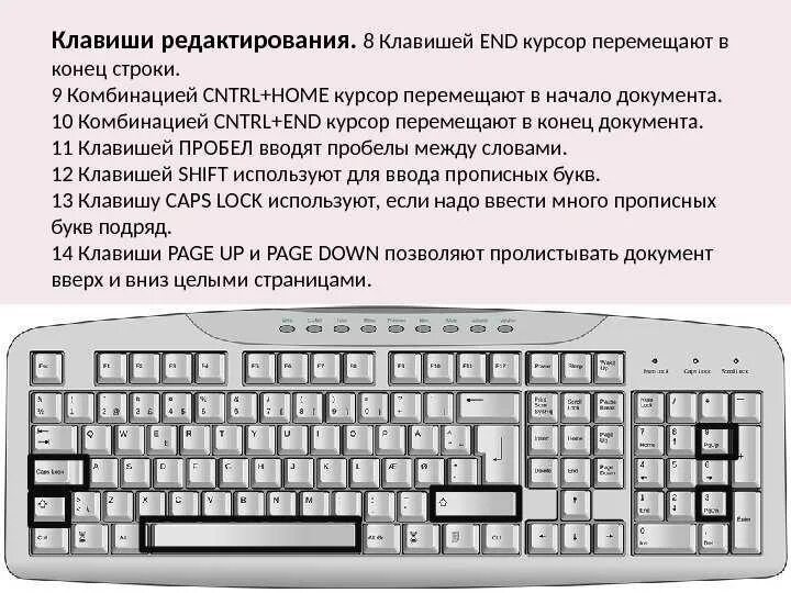 Показать нажимаемые клавиши. Курсор на клавиатуре. Функции клавиатуры компьютера для начинающих. Клавиши редактирования. Назначение клавиш на клавиатуре.