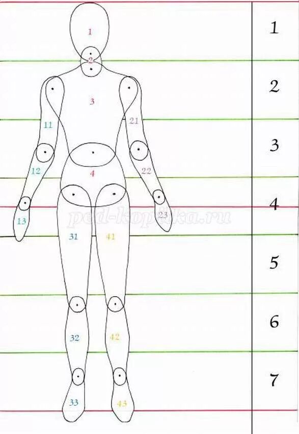 8 частей человека. Пропорции человека для рисования. Пропорции человека рисунок. Пропорции человека схема. Пропорции тела человека для рисования.