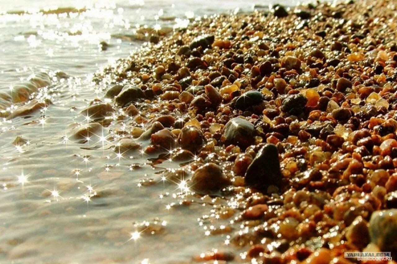 Берег балтийского моря с янтарем. Балтийское море калининград янтарь. Балтийское море янтарный пляж калининград. Балтийское море янтарный пляж калининград. Янтарь в калининграде на пляже.