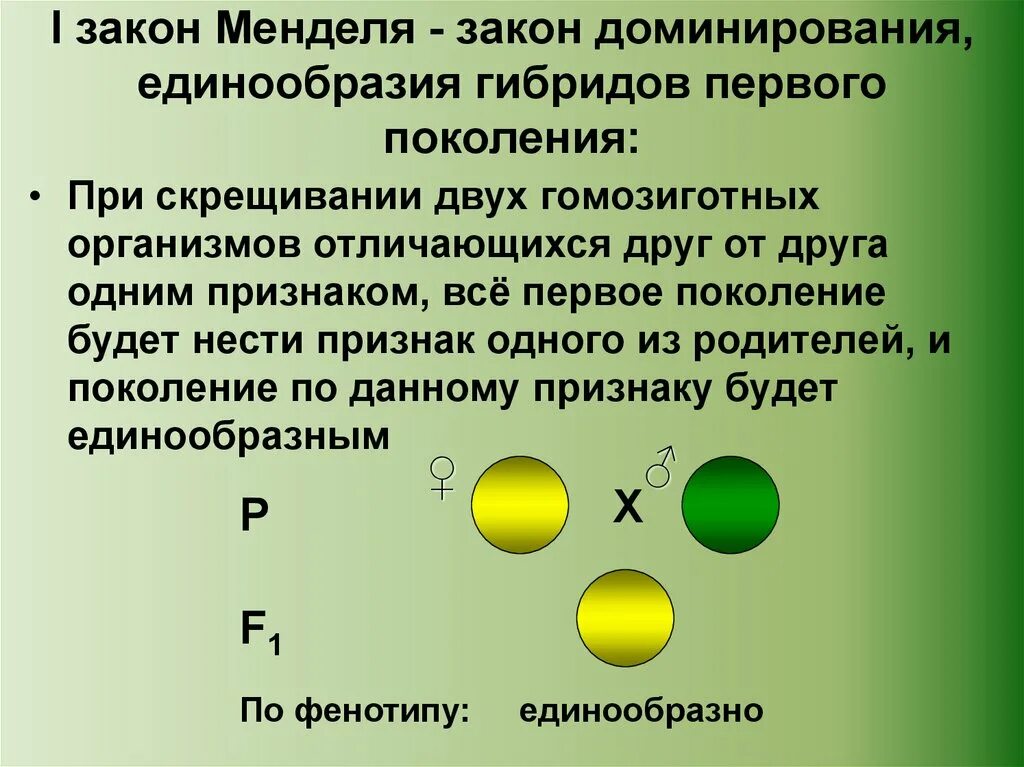 Правило доминирования закон