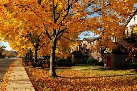 Home fall