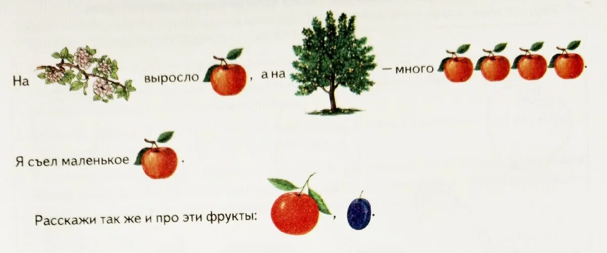 2 8 всех фруктов составляют. Составь предложение по картинке фрукты. Языки речевая практика тема фрукты. Овощи и фрукты составление предложений с союзом а. Найдите на схеме 4 типа фруктов назовите их.