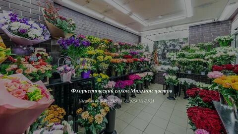 Цветы цветной бульвар