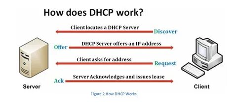 Ubuntu dhcp