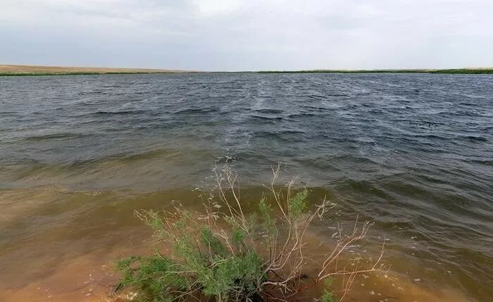 Килинчи Астраханская область. Астраханские разливы. Большая вода в Астрахани. Водные ресурсы Астраханской области. Богатства астраханской области