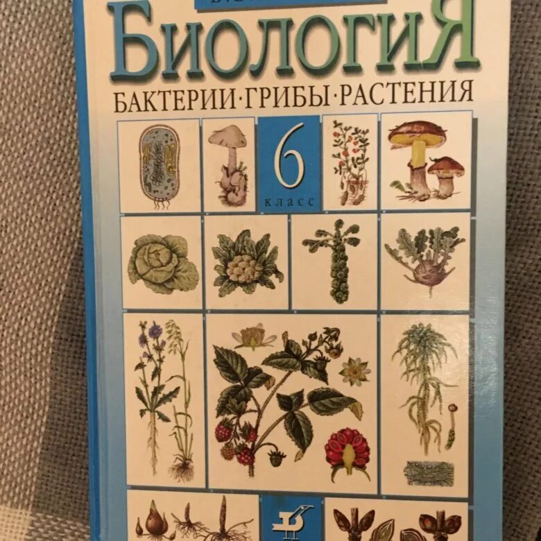 Пасечник биология. Пасечник ботаника. Пасечник 6 класс растения грибы. Биология Пасечник грибы растения 6 класс. Биология 6 класс учебник пасечник 2023 читать