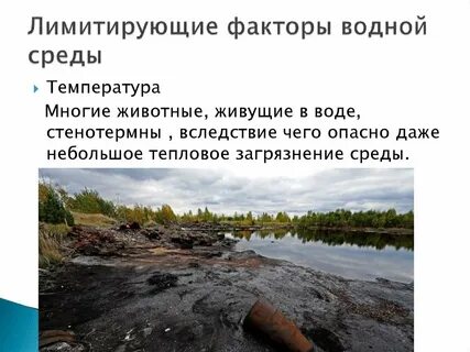 Факторы лимитирующие жизнь в водной среде