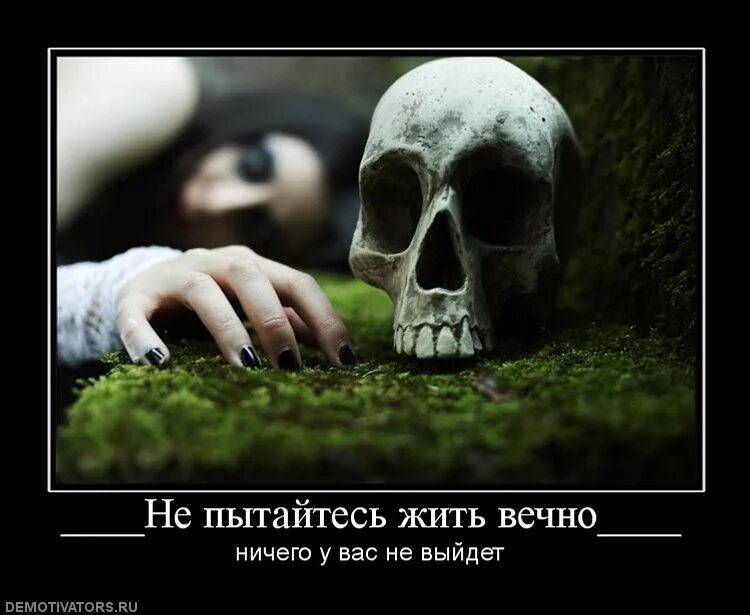 Как понять жизнь вечная. Жить вечно. Хотите жить вечно. Человек который хотел жить вечно. Собрался жить вечно.