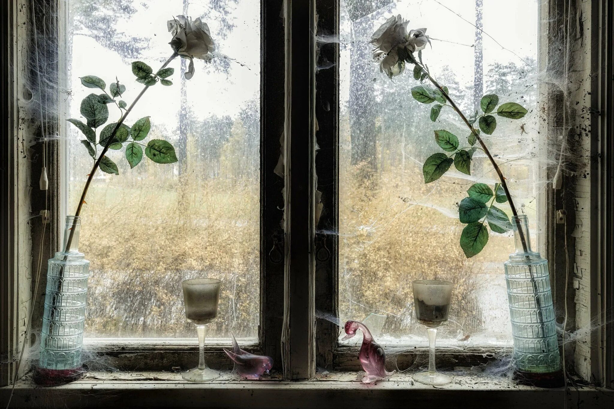 Листья на подоконнике. Дождь за окном. Зимнее окно. Весеннее окно.