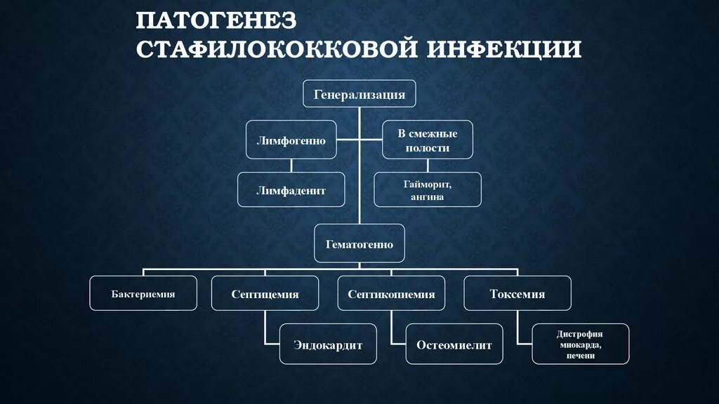 Формы стафилококковой инфекции. Формы стафилококковой инфекции