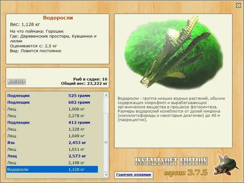 Ловит тест