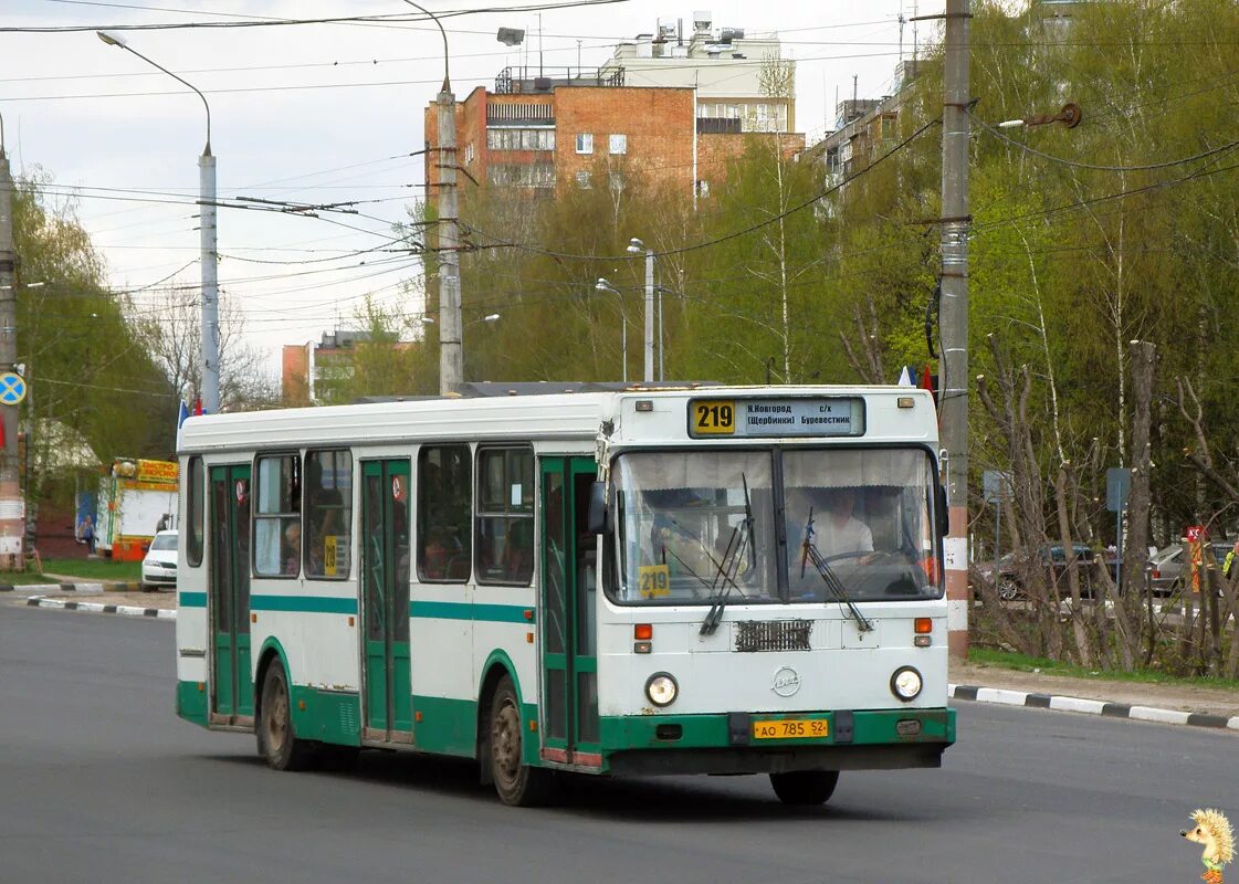 Автобус щербинки буревестник расписание. Автобус 219 Щербинки Буревестник. Расписание автобусов 219 Буревестник Щербинки Нижний Новгород. Расписание автобусов 219 Буревестник Щербинки. Расписание 219 Щербинок.