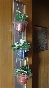 Подвесные кашпо из пластиковых бутылок своими руками. Подвесные горшки из пластиковых бутылок. gj;lcndfdrf lkz wdtnjd bp gkfcnbrjdjq ,enskrb. горшки для цветов из пластиковых бутылок. подвесные кашпо из пластиковых бутылок.