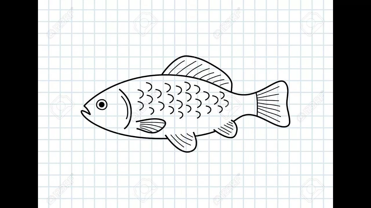 Как выглядит рисунок рыба Line Drawing Tropical Fish Line Drawing
