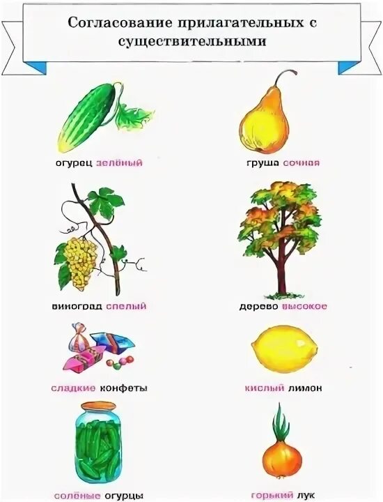 Слова согласуются в роде. Согласование существительного с прилагательным. Согласование существительных с прилагательными. Согласование существительных и прилагательных. Согласование прилагательных и существительных для детей.