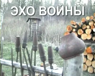Включи эхо