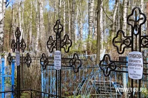 Кинешма сокольники