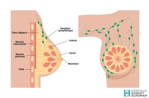 En quoi consiste la chirurgie du creux axillaire 