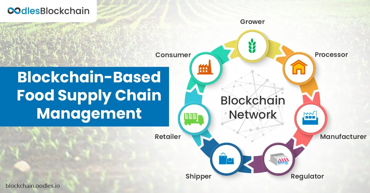 Fujian tianrun yongshun supply chain. Управление цепями поставок. цепи поставок blockchain food. блокчейн в цепочке поставок. food supply chain.