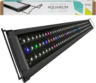 Led gr