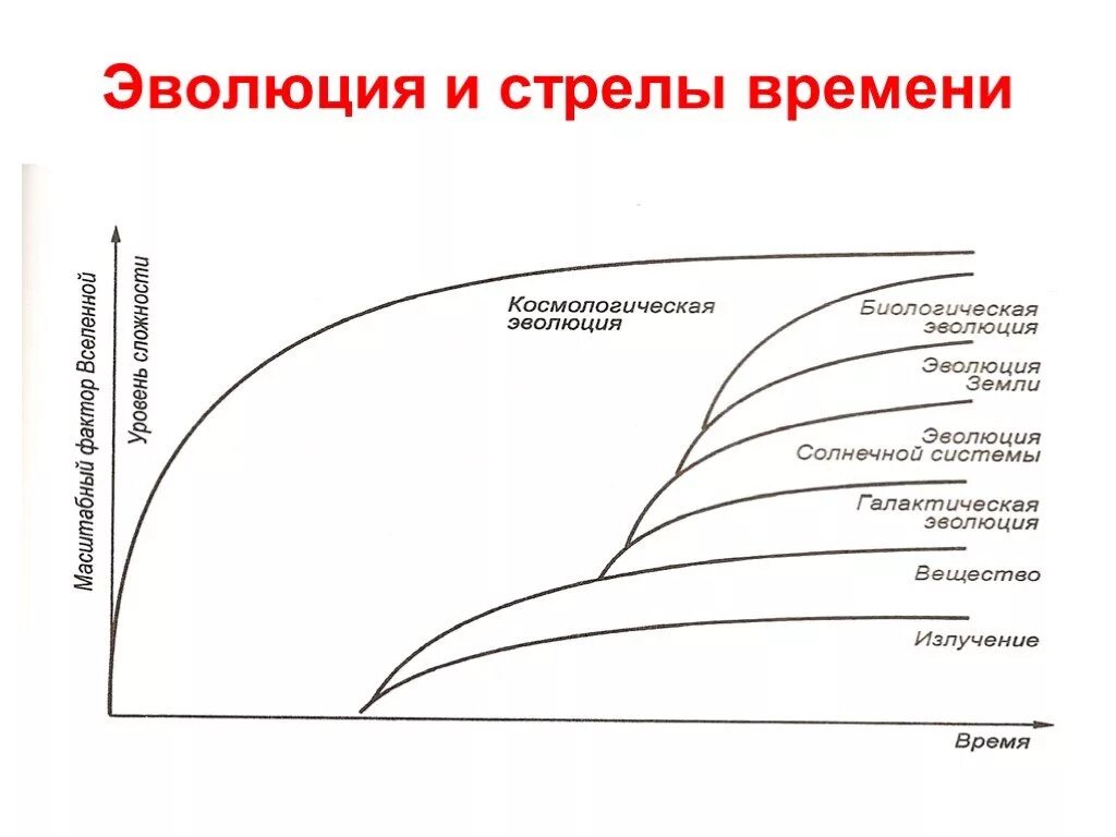 Стрела времени. Термодинамическая стрела времени. Биологическая стрела времени. Концепция стрелы времени. Стрела времени в философии.