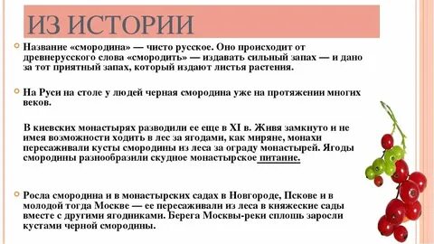 Впр смородина