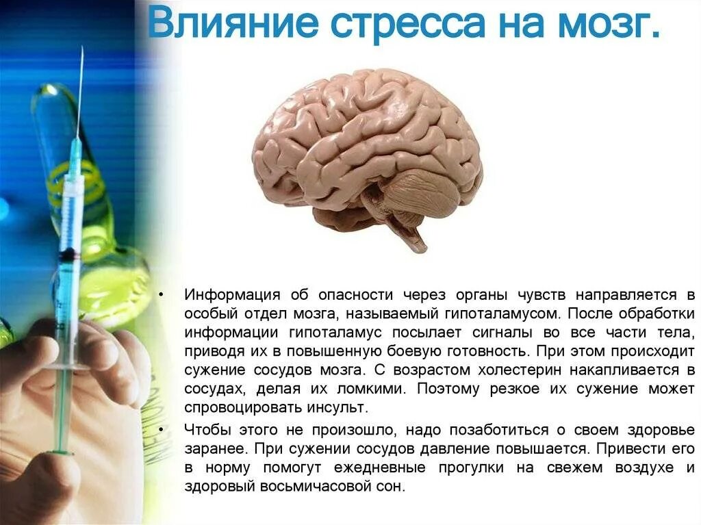 Во время деятельность мозга. Воздействие стресса на мозг. Стресс и мозг человека. Влияние стресса на мозг человека. Влияние стресса на головной мозг.