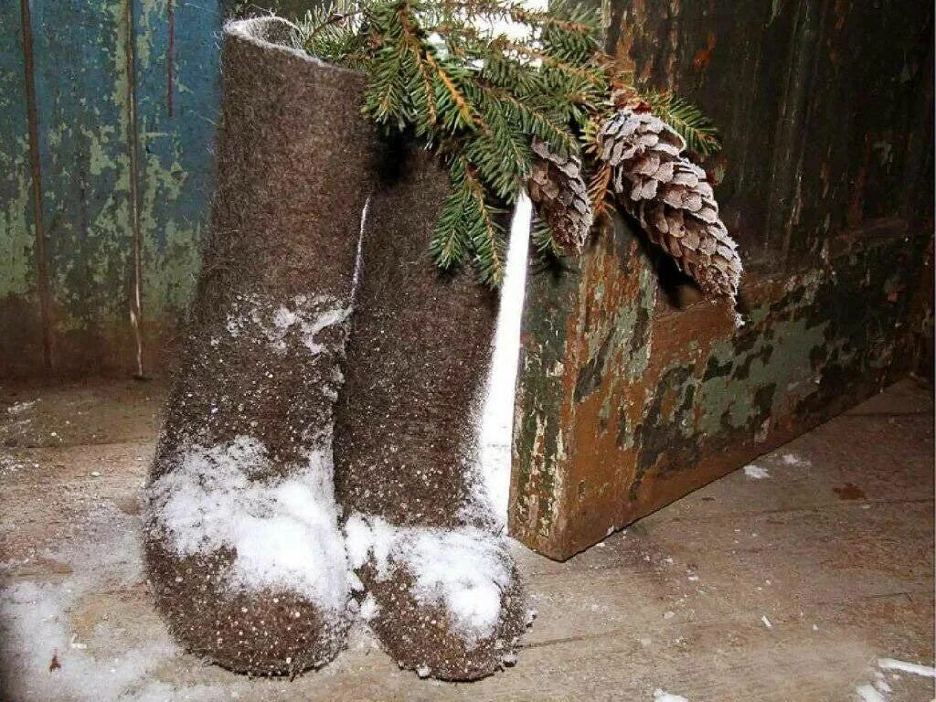 Валенки моль. Валенки на снегу. еловая ветка на валенках. валенки в сугробе. забавный валенок.