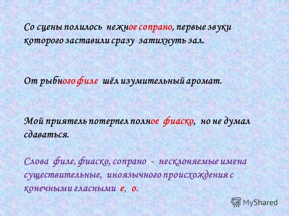 Несклоняемые имена прилагательные