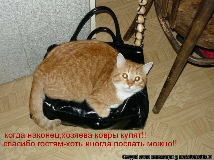 То шевелится то нет. Шшшшшшш. шшшшш. щхо. кто шевельнется тот.