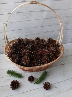Шишка екатеринбург